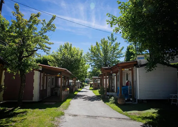 Tranquilla بافينو