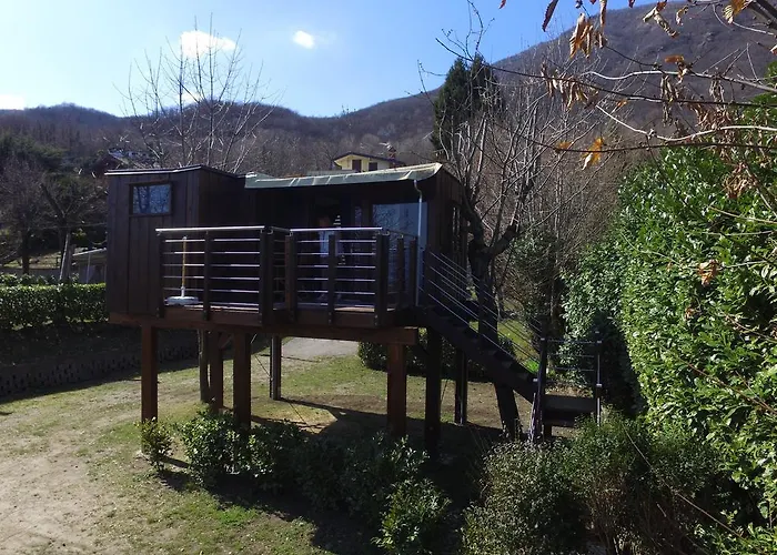 Tranquilla بافينو